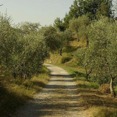 Aramo Verde Экстерьер фото